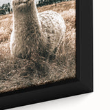 Farmhouse Alpaca in Field Art – Rustic Country Style Wall Decor