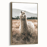 Farmhouse Alpaca in Field Art – Rustic Country Style Wall Decor