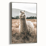 Farmhouse Alpaca in Field Art – Rustic Country Style Wall Decor