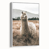 Farmhouse Alpaca in Field Art – Rustic Country Style Wall Decor