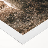 Farmhouse Alpaca in Field Art – Rustic Country Style Wall Decor