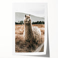Farmhouse Alpaca in Field Art – Rustic Country Style Wall Decor