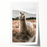 Farmhouse Alpaca in Field Art – Rustic Country Style Wall Decor