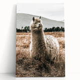 Farmhouse Alpaca in Field Art – Rustic Country Style Wall Decor