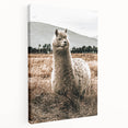 Farmhouse Alpaca in Field Art – Rustic Country Style Wall Decor