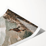 Rustic Farmhouse Wall Art - Vintage-Inspired Mountain Scene with Wildlife