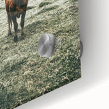 Farmhouse Wall Art - Rustic Country Cattle in Green Pasture Scene