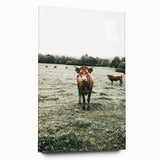 Farmhouse Wall Art - Rustic Country Cattle in Green Pasture Scene