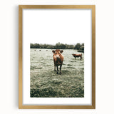 Farmhouse Wall Art - Rustic Country Cattle in Green Pasture Scene