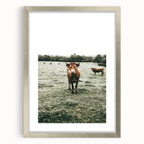 Farmhouse Wall Art - Rustic Country Cattle in Green Pasture Scene