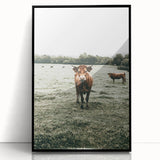 Farmhouse Wall Art - Rustic Country Cattle in Green Pasture Scene