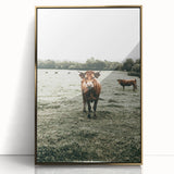 Farmhouse Wall Art - Rustic Country Cattle in Green Pasture Scene