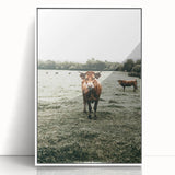 Farmhouse Wall Art - Rustic Country Cattle in Green Pasture Scene