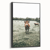 Farmhouse Wall Art - Rustic Country Cattle in Green Pasture Scene