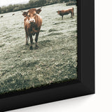 Farmhouse Wall Art - Rustic Country Cattle in Green Pasture Scene