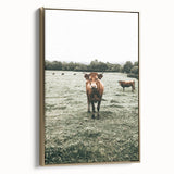 Farmhouse Wall Art - Rustic Country Cattle in Green Pasture Scene