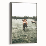 Farmhouse Wall Art - Rustic Country Cattle in Green Pasture Scene