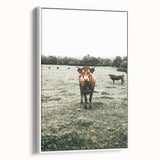 Farmhouse Wall Art - Rustic Country Cattle in Green Pasture Scene