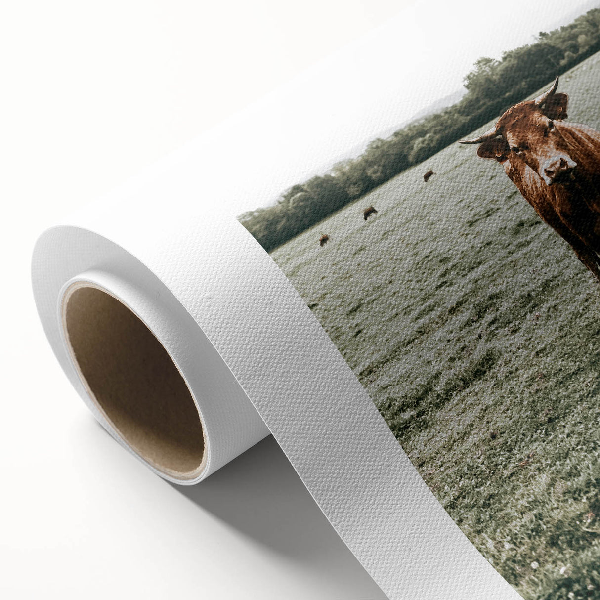 Farmhouse Wall Art - Rustic Country Cattle in Green Pasture Scene