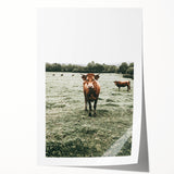 Farmhouse Wall Art - Rustic Country Cattle in Green Pasture Scene