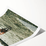 Farmhouse Wall Art - Rustic Country Cattle in Green Pasture Scene