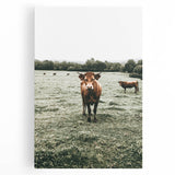 Farmhouse Wall Art - Rustic Country Cattle in Green Pasture Scene