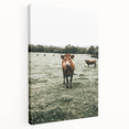 Farmhouse Wall Art - Rustic Country Cattle in Green Pasture Scene