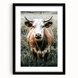 Farmhouse Wall Art - Close-Up of Rustic Country Cow in Green Pasture