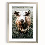 Farmhouse Wall Art - Close-Up of Rustic Country Cow in Green Pasture