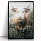 Farmhouse Wall Art - Close-Up of Rustic Country Cow in Green Pasture