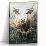 Farmhouse Wall Art - Close-Up of Rustic Country Cow in Green Pasture