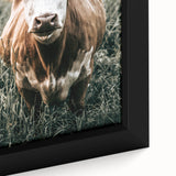 Farmhouse Wall Art - Close-Up of Rustic Country Cow in Green Pasture