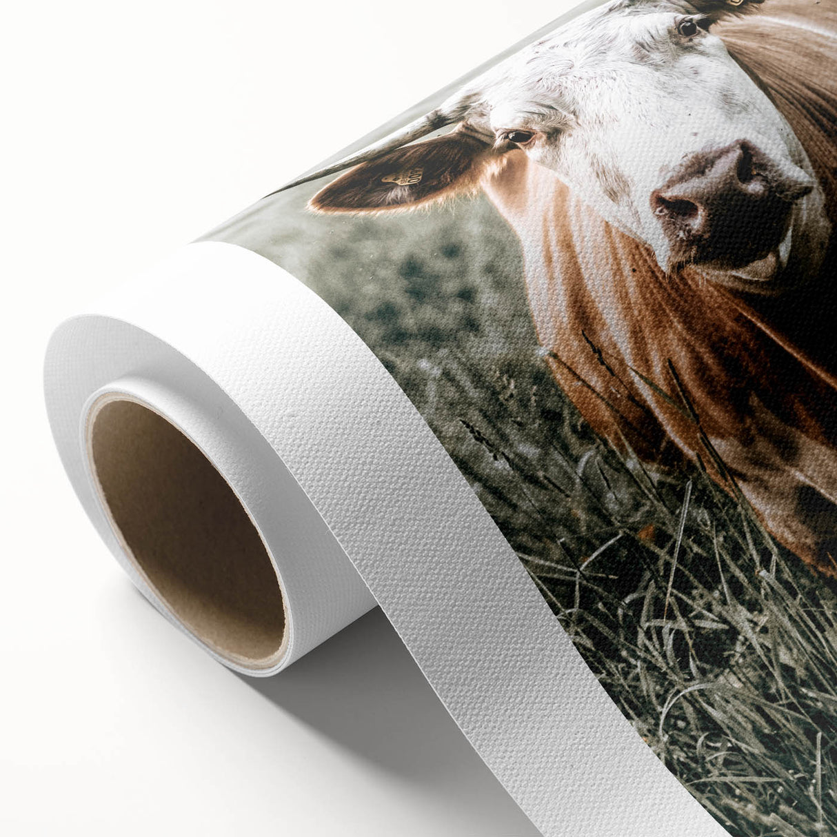 Farmhouse Wall Art - Close-Up of Rustic Country Cow in Green Pasture