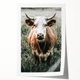 Farmhouse Wall Art - Close-Up of Rustic Country Cow in Green Pasture