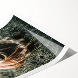 Farmhouse Wall Art - Close-Up of Rustic Country Cow in Green Pasture