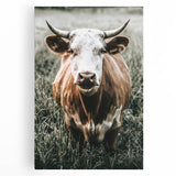 Farmhouse Wall Art - Close-Up of Rustic Country Cow in Green Pasture