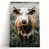 Farmhouse Wall Art - Close-Up of Rustic Country Cow in Green Pasture