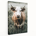 Farmhouse Wall Art - Close-Up of Rustic Country Cow in Green Pasture