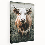 Farmhouse Wall Art - Close-Up of Rustic Country Cow in Green Pasture