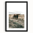 Farmhouse Wall Art - Highland Cow in Rustic Field for Country Decor