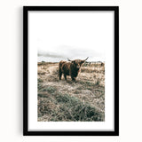 Farmhouse Wall Art - Highland Cow in Rustic Field for Country Decor