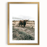 Farmhouse Wall Art - Highland Cow in Rustic Field for Country Decor