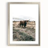 Farmhouse Wall Art - Highland Cow in Rustic Field for Country Decor