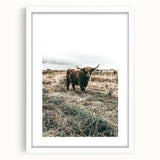 Farmhouse Wall Art - Highland Cow in Rustic Field for Country Decor