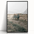 Farmhouse Wall Art - Highland Cow in Rustic Field for Country Decor