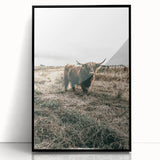 Farmhouse Wall Art - Highland Cow in Rustic Field for Country Decor