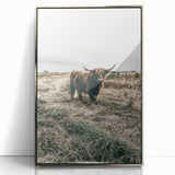 Farmhouse Wall Art - Highland Cow in Rustic Field for Country Decor