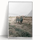 Farmhouse Wall Art - Highland Cow in Rustic Field for Country Decor