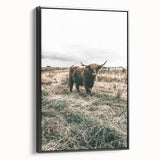 Farmhouse Wall Art - Highland Cow in Rustic Field for Country Decor