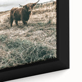 Farmhouse Wall Art - Highland Cow in Rustic Field for Country Decor
